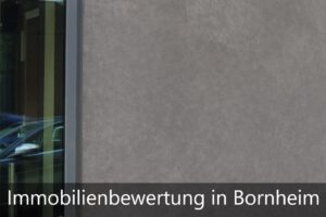 Read more about the article Immobiliengutachter Bornheim